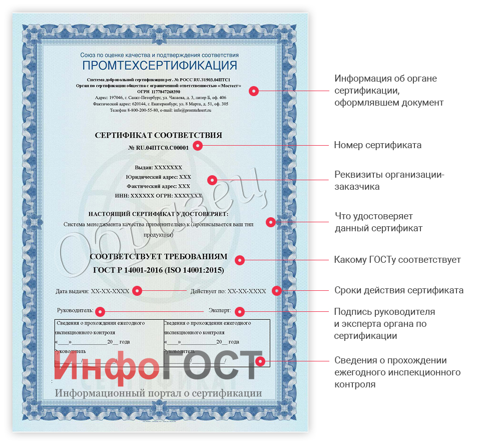 Сертификат ИСО. Образец