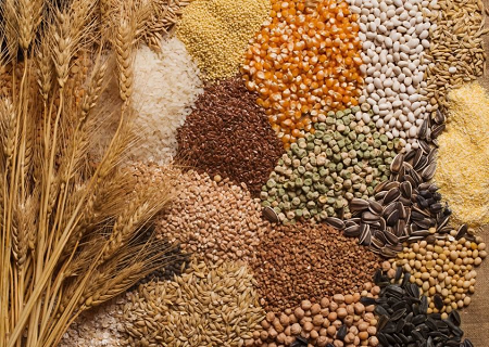 Минсельхоз предлагает ввести механизм квотирования экспорта зерновых культур