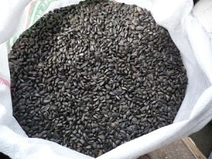Правительство ввело временный запрет на экспорт семян подсолнечника